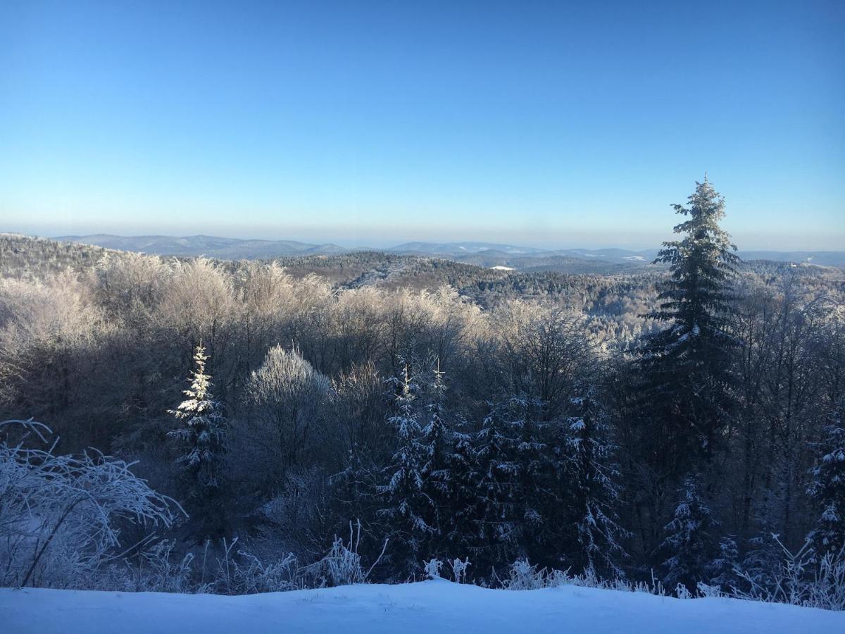 Schronisko Gorskie Pttk Na Jaworzynie Krynickiej Krynica Zdroj Bagian luar foto