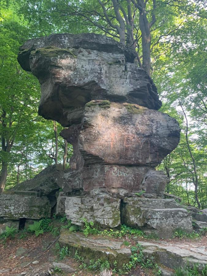 Schronisko Gorskie Pttk Na Jaworzynie Krynickiej Krynica Zdroj Bagian luar foto