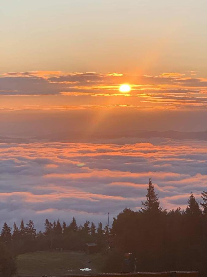 Schronisko Gorskie Pttk Na Jaworzynie Krynickiej Krynica Zdroj Bagian luar foto